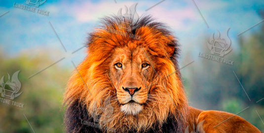 74028_1__srvtba01_Foto_Sito_Longstone_74028.png 74028 picture