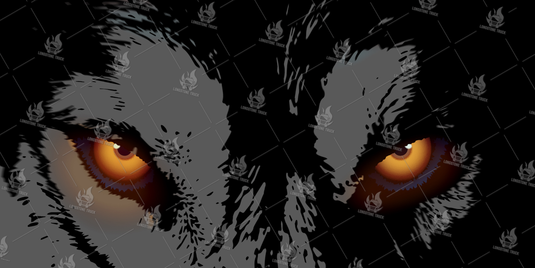 74032_1__srvtba01_Foto_Sito_Longstone_74032.png 74032 picture