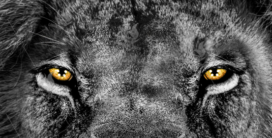 74050_1__srvtba01_Foto_Sito_Longstone_74050.png 74050 picture