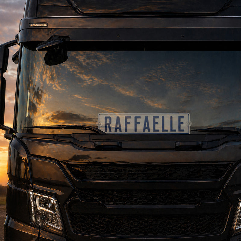 Carica immagine in Galleria Viewer, Targa camion personalizzata pressata bianca con caratteri blu e ventose
