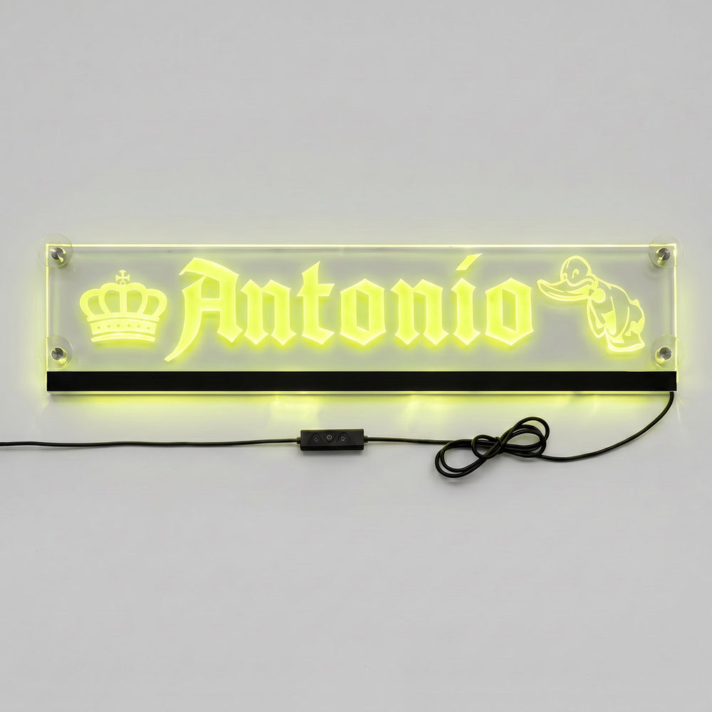 Targa Camion Personalizzata Plexi LED RGB Trasparente con Attacco USB-C