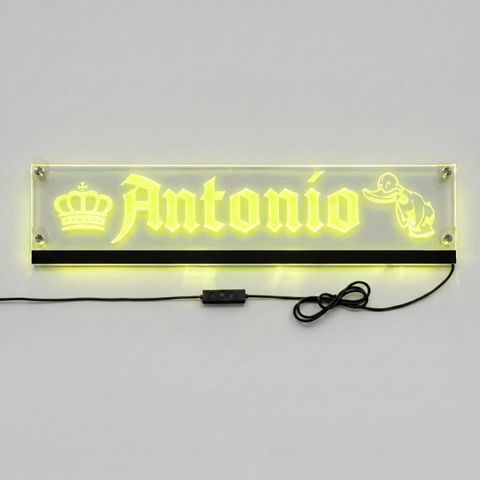 Targa Camion Personalizzata Plexi LED RGB Trasparente con Attacco USB-C
