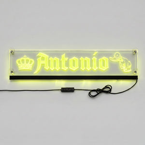 Targa Camion Personalizzata Plexi LED RGB Trasparente con Attacco USB-C